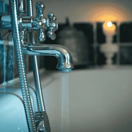 La Chartreuse Des Ormeaux Maison De Maître En Dordogne Hébergement de vacances Saint-Alvère