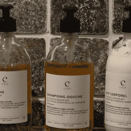 La Chartreuse Des Ormeaux Maison De Maître En Dordogne Hébergement de vacances