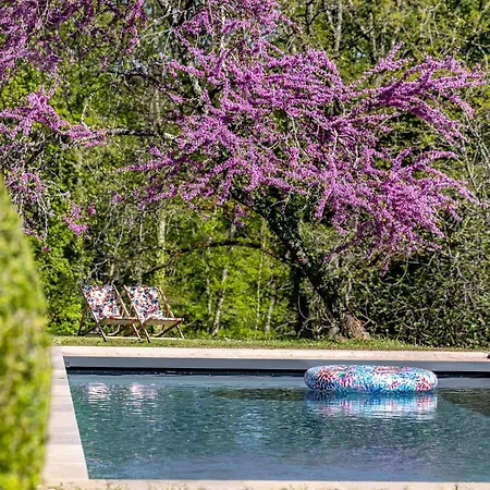 Tatil Evi La Chartreuse Des Ormeaux Maison De Maitre En Dordogne