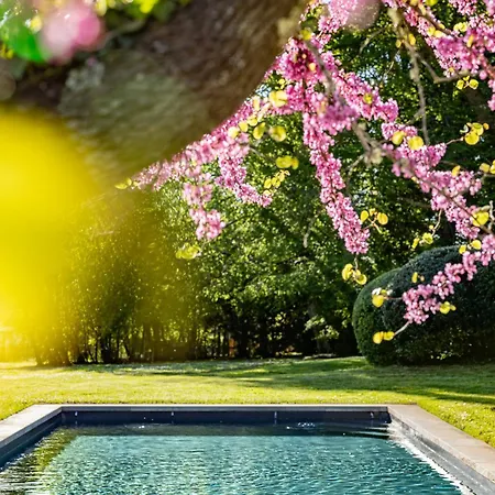 La Chartreuse Des Ormeaux Maison De Maitre En Dordogne * Saint-Alvère