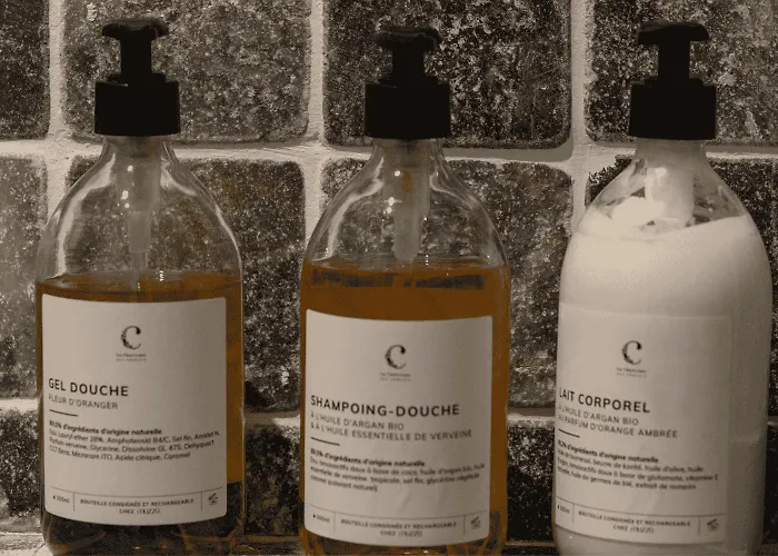 La Chartreuse Des Ormeaux Maison De Maitre En Dordogne Dom wakacyjny